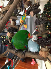 Load image into Gallery viewer, Medium Natural Swing
