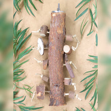 Load image into Gallery viewer, Large Jungle Perch