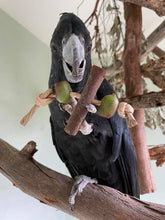 Load image into Gallery viewer, Big Foot Toy
