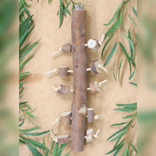 Load image into Gallery viewer, Medium Jungle Perch
