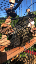 Load image into Gallery viewer, Large Natural Swing
